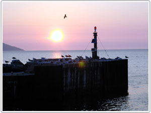 Sunset ad Bay St Lawrence, Cape Breton, Canada