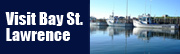 Back to Bay St. Lawrence website